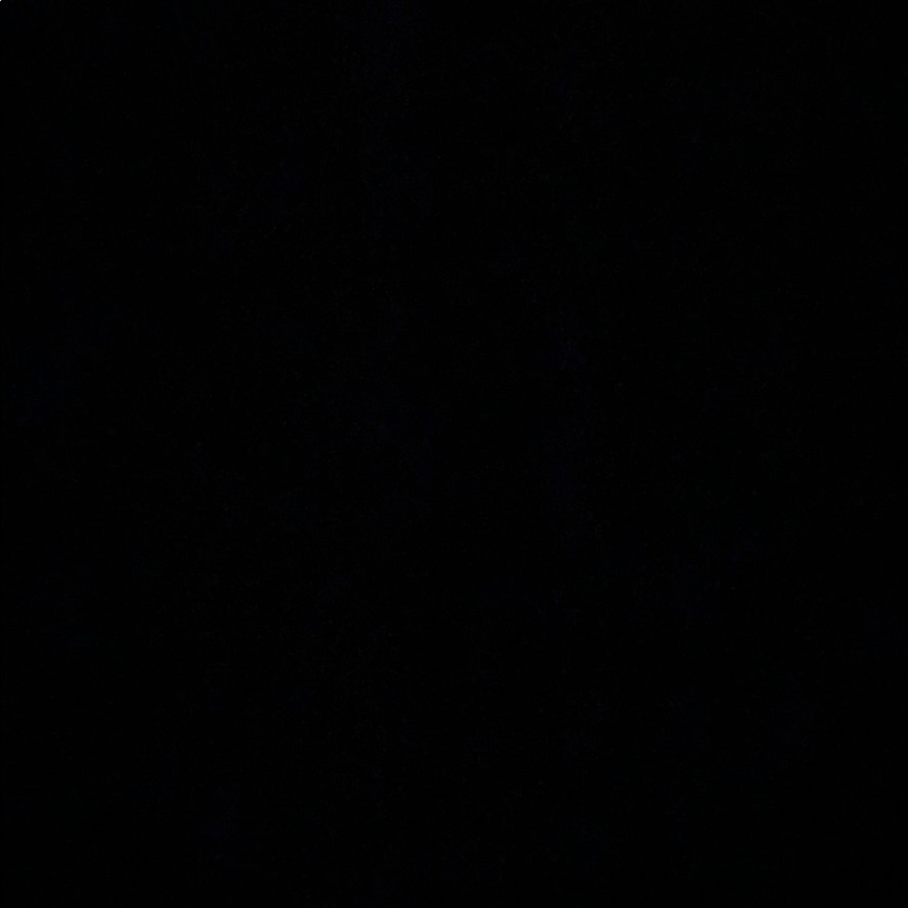 Meet your Posher, Bailey